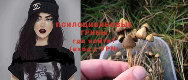 apvp Галич