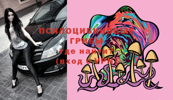 сатива Пестово