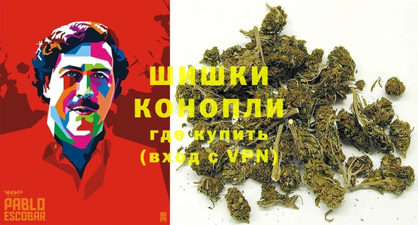 сатива Пестово