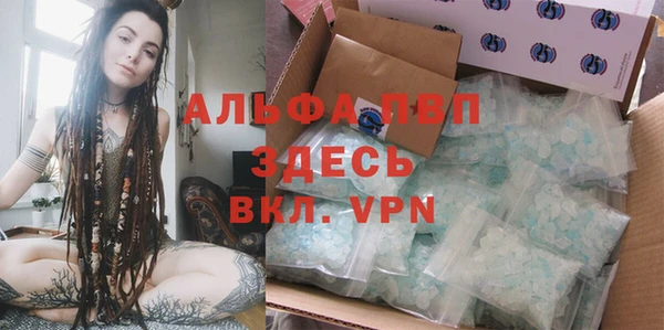 сатива Пестово