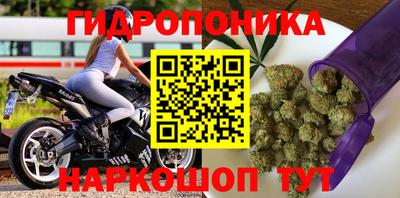 прущие крисы Пугачёв