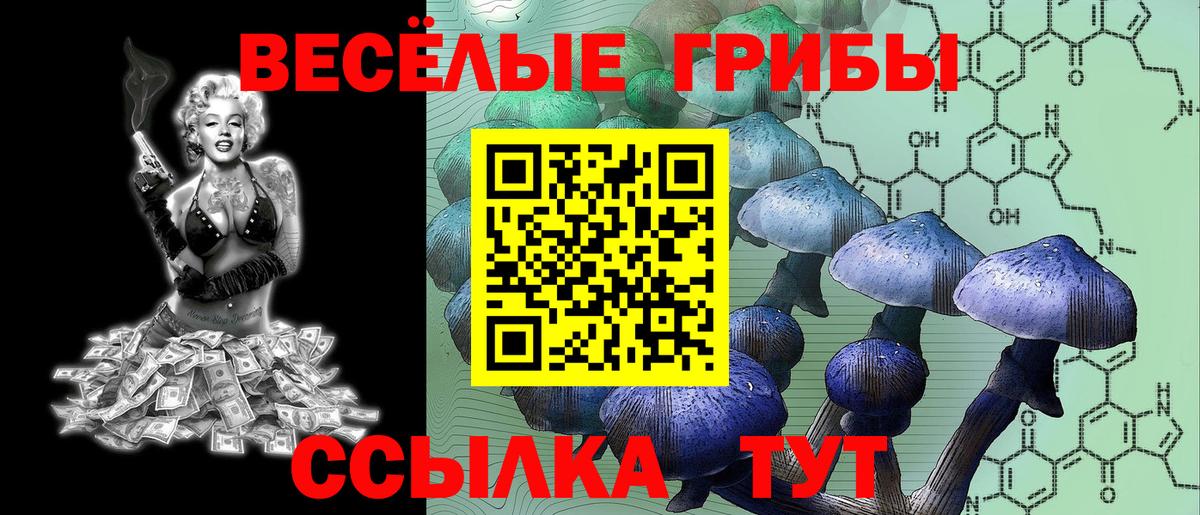 Химки  Псилоцибиновые грибы MAGIC MUSHROOMS  Вход с VPN  Галлюциногенные грибы Cubensis 